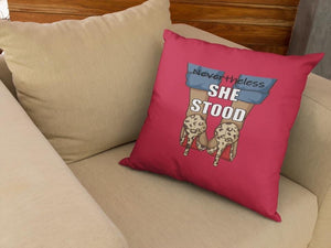 Decorative Inspirational Pillows